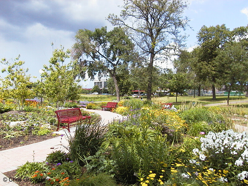 Loring Park Flower Garden