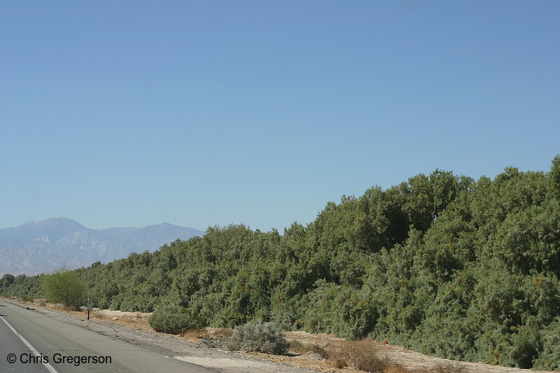 Photo of Interstate 10 in the Coachella Valley, California(6435)