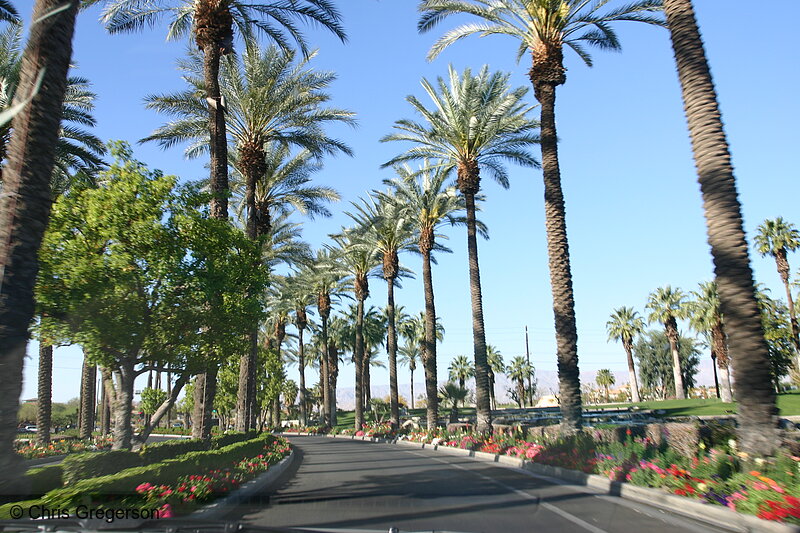 Photo of Entrance to the Marriott Desert Springs, Palm Desert, California(6449)