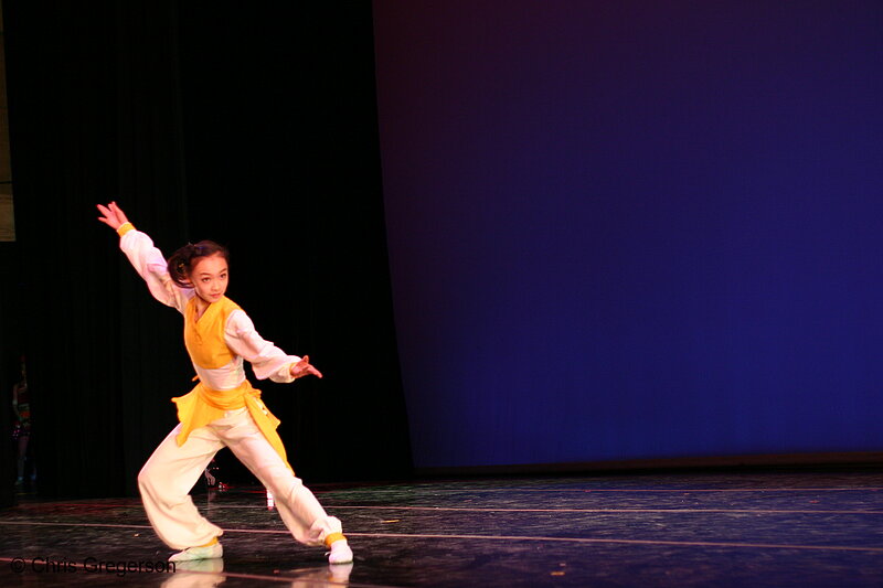 Photo of RFDZ Performance in Minnesota for the Chinese New Year(6454)