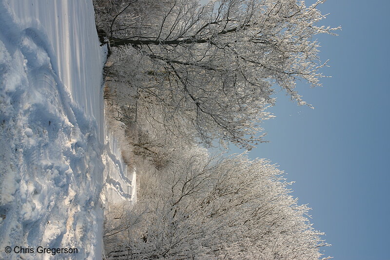 Photo of Winter Trail after Frost and Snow(6519)