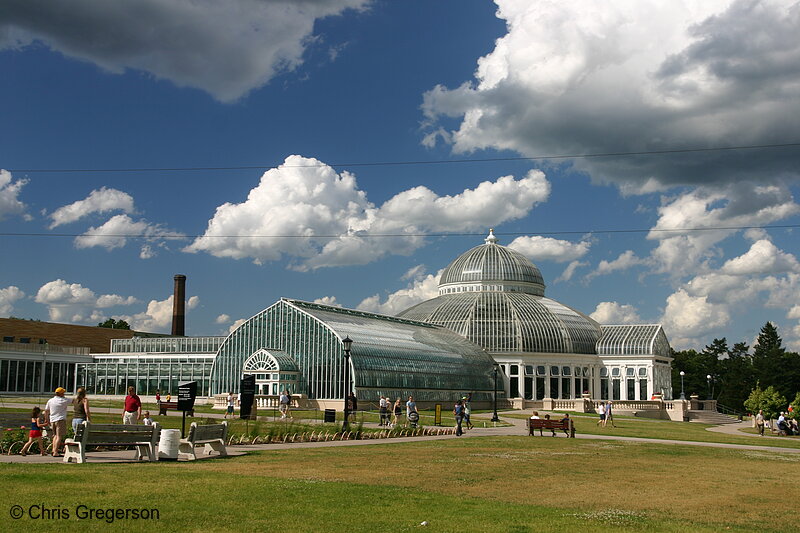 Photo of Como Park Conservatory(6523)