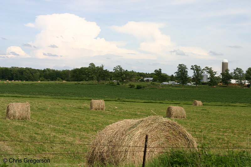 Photo of Bales of Hay, Rural Wisconsin Farm(6528)