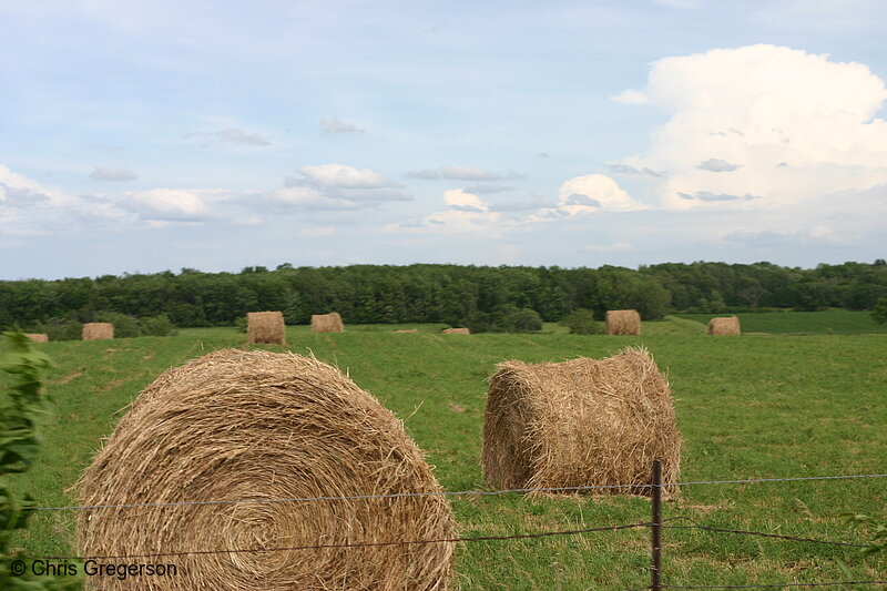 Photo of Bales of Hay, Rural Wisconsin Farm(6529)