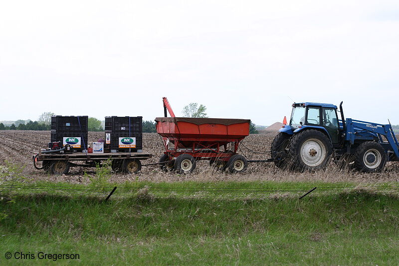 Photo of Tractor with Trailers in a Corn Field(6649)
