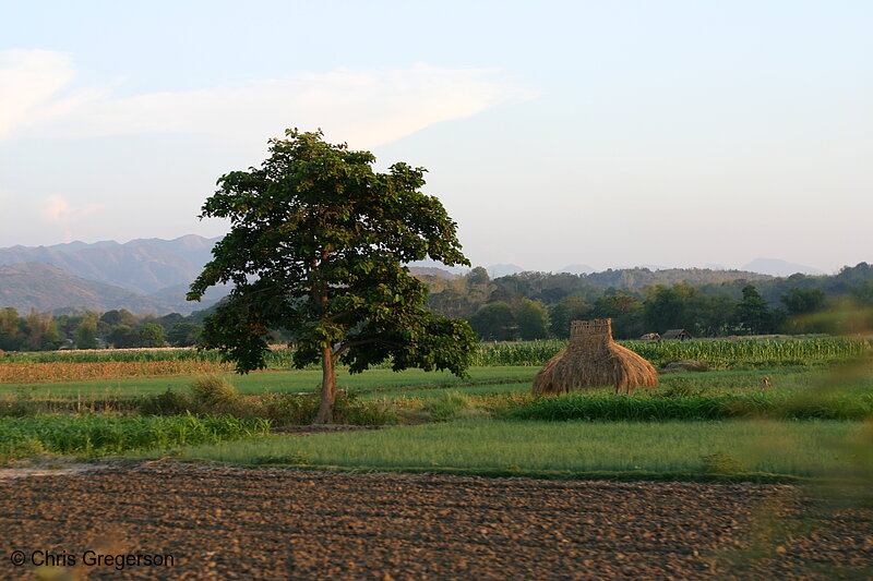 Photo of Farm Fields and Mountains, Ilocos Norte(6672)