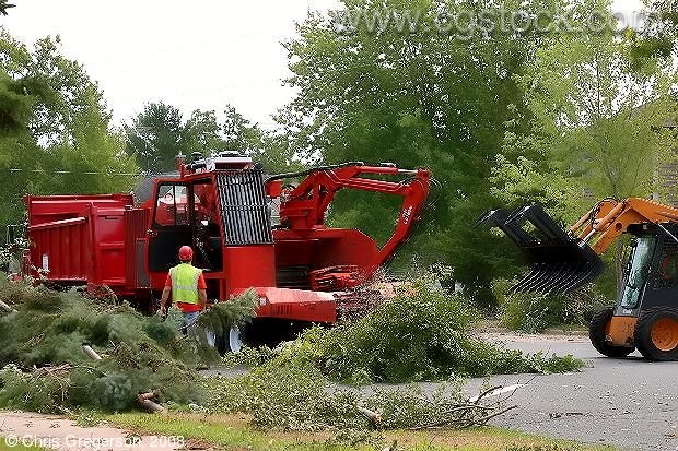 Photo of Equipment Cleaning Up Debris Following a Summer Storm(6737)