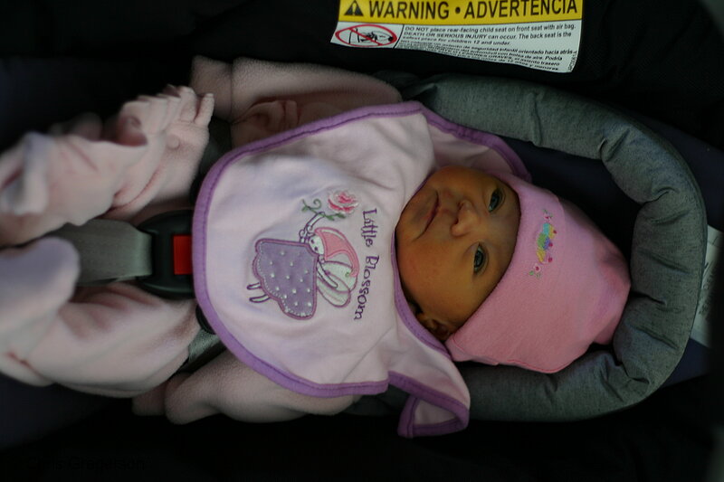 Photo of Newborn Infant in a Car Seat(6758)