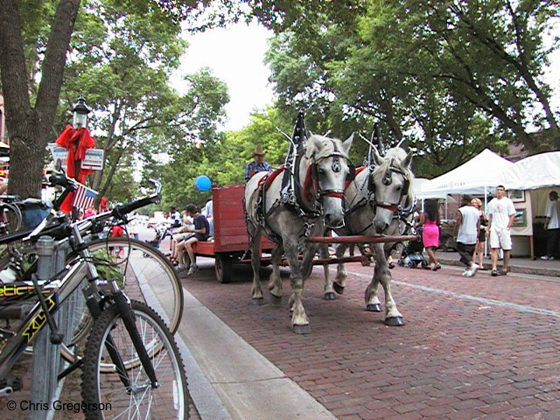 Photo of Horses on Main Street Southeast(678)