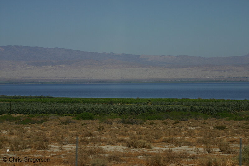 Photo of Salton Sea(6862)