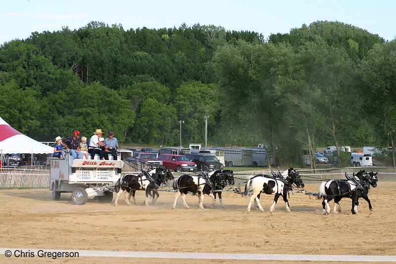 Photo of Milk Buds Horse Team, St. Croix County Fair(6987)
