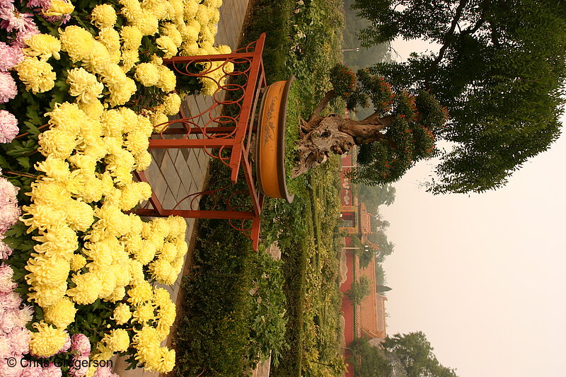 Photo of Jingshan Park, Beijing, China
(7059)