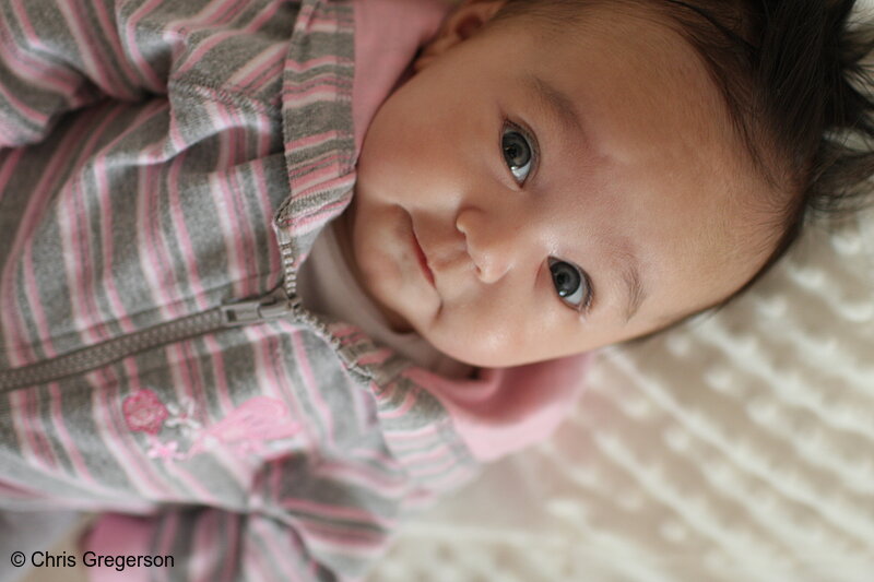 Photo of Cute Baby Girl(7149)