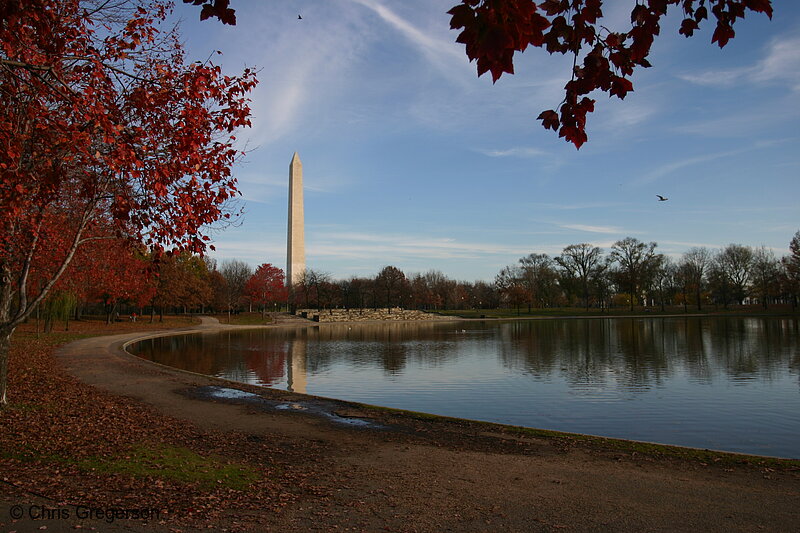 Photo of Washington Monument and Pond on the National Mall, DC(7166)