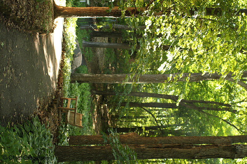 Photo of Path with Bench, Landscape Arboretum(7353)
