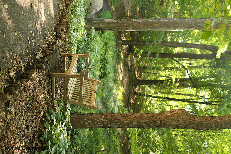 Photo of Park Bench, Minnesota Landscape Arboretum(7357)