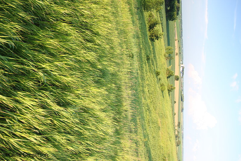 Photo of Hill and Farmland in St. Croix County(7367)
