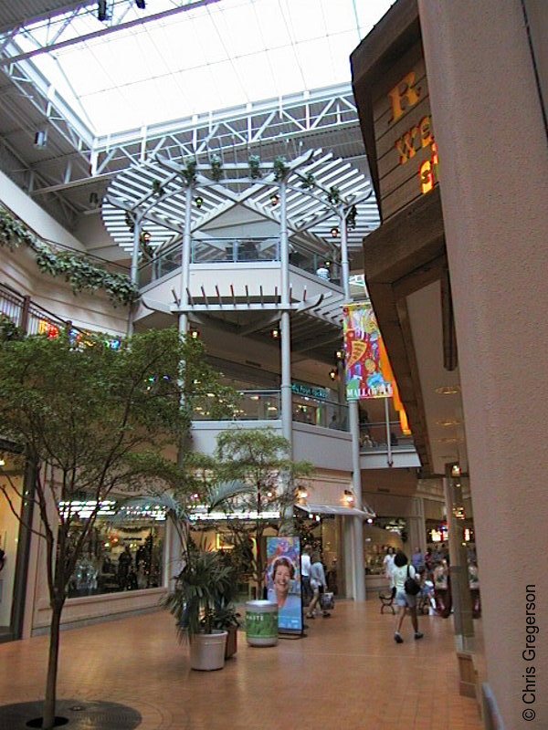 Photo of North Garden at the Mall of America(782)