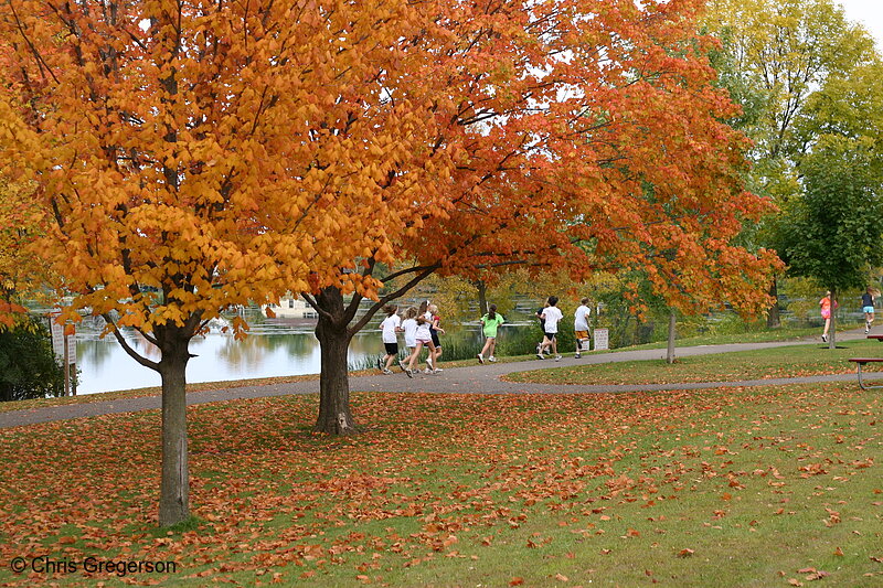 Photo of Walking Path at Mary Park in the Fall(7844)