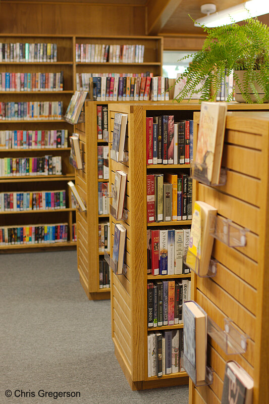 Photo of Bookshelves and Isles, Friday Library, New Richmond(7862)