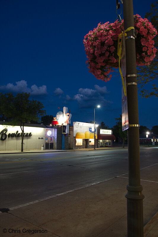 Photo of Flower Planter on Knowles at Night(7874)