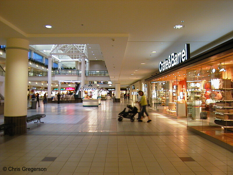 Photo of Southdale Center Court(789)