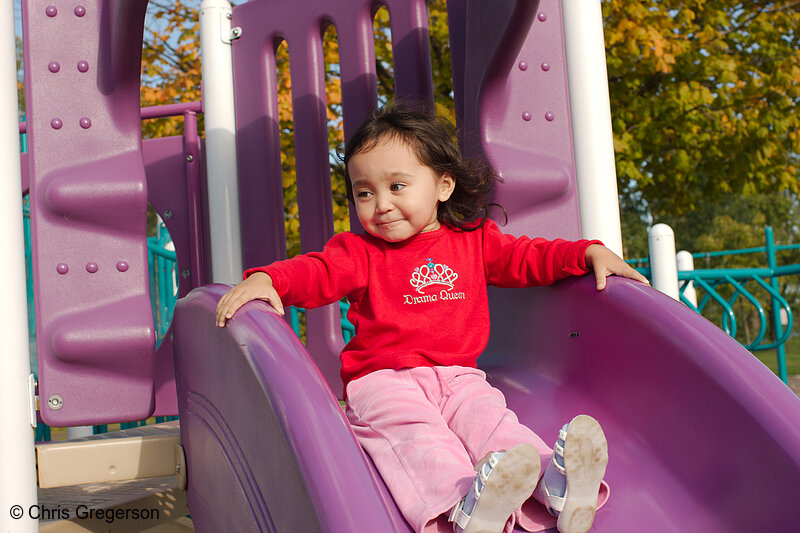 Photo of Athena on the Slide at Mary Park(7898)