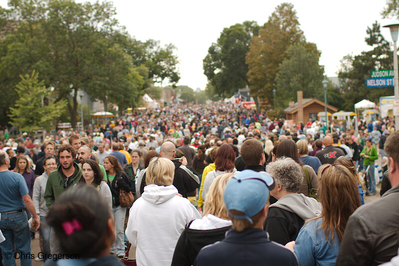 Crowd at the 2009 State Fair