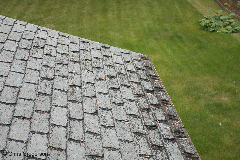 Close-Up of Damaged Roof