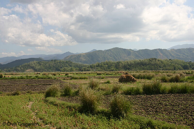 Photo of Farm Fields in Badoc, Ilocos Norte, the Philippines(8136)