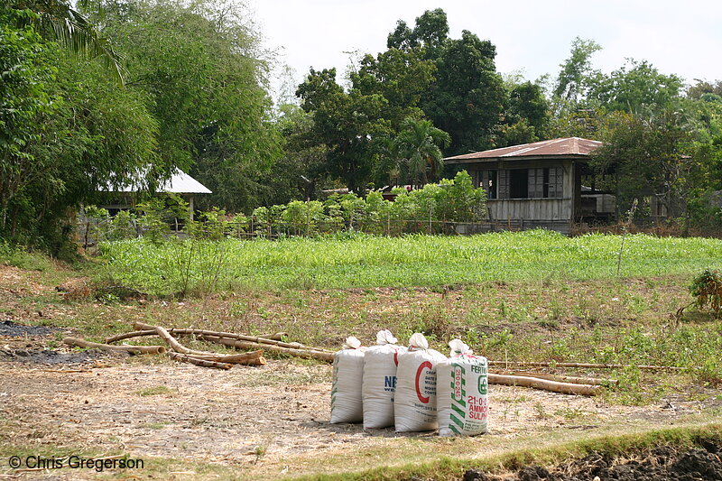 Photo of Fertilizer and Field in Las Ud, the Philippines(8143)