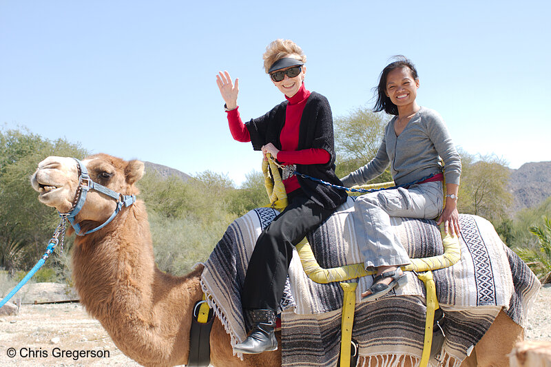 Photo of Camel Ride, California(8205)