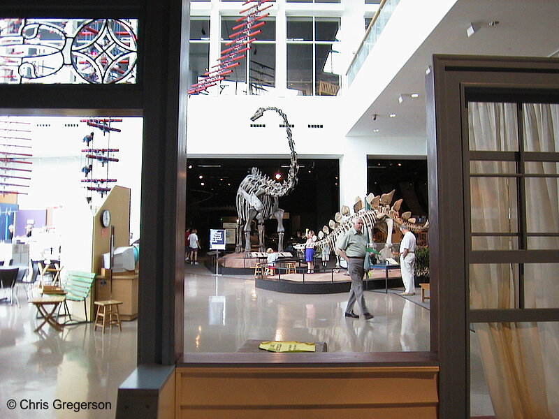 Photo of Atrium at the Science Museum of Minnesota(831)