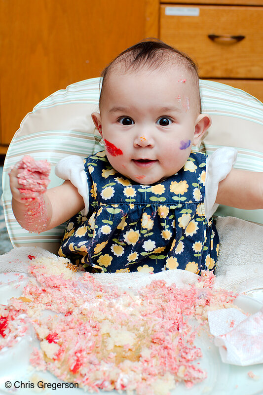 Photo of Clio Smashing Her Cake at her First Birthday(8332)