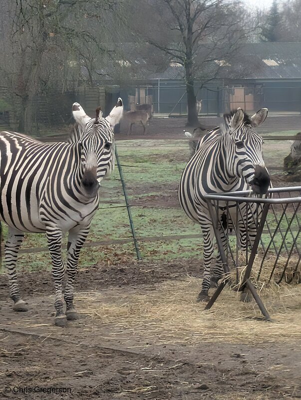 received_891897633184932