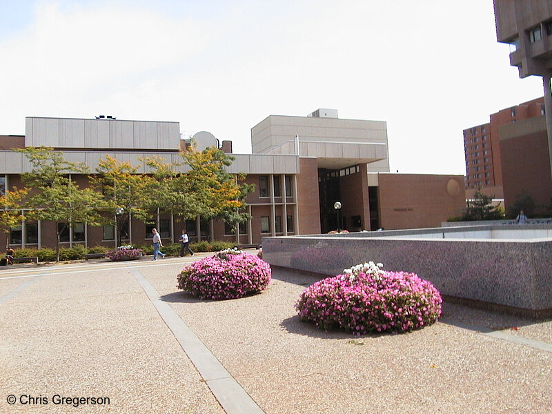 Photo of Ferguson Hall(966)