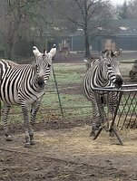 received_891897633184932